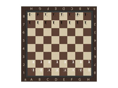 Outdoor chess and checkers ZU-ZU